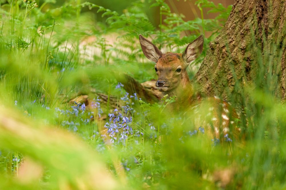 Photograph by Bartek Olszewski