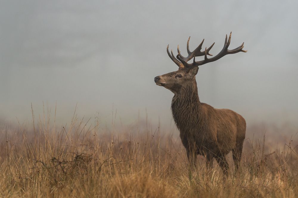 Photograph by Bartek Olszewski