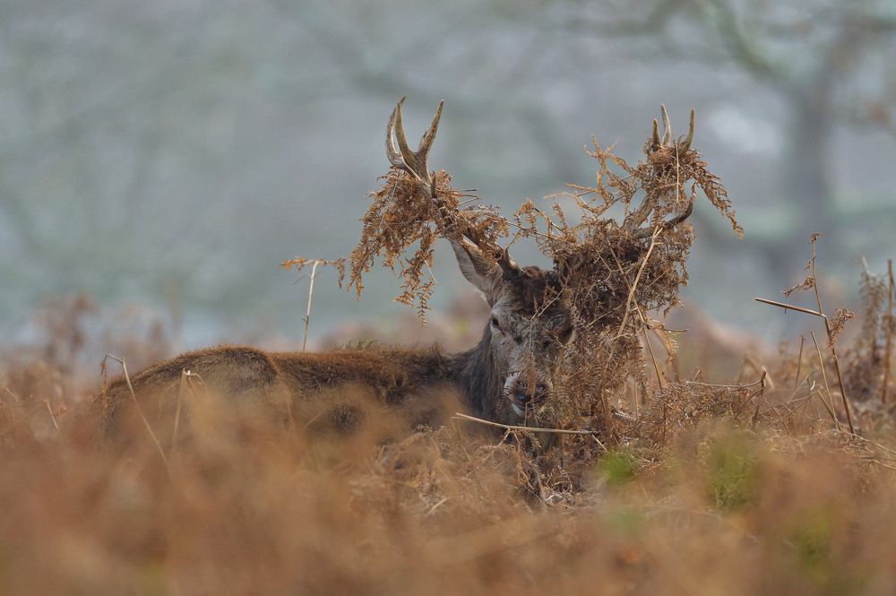 Photograph by Bartek Olszewski