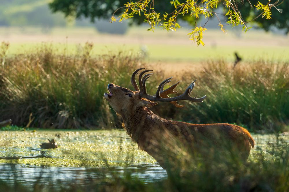 Photograph by Bartek Olszewski
