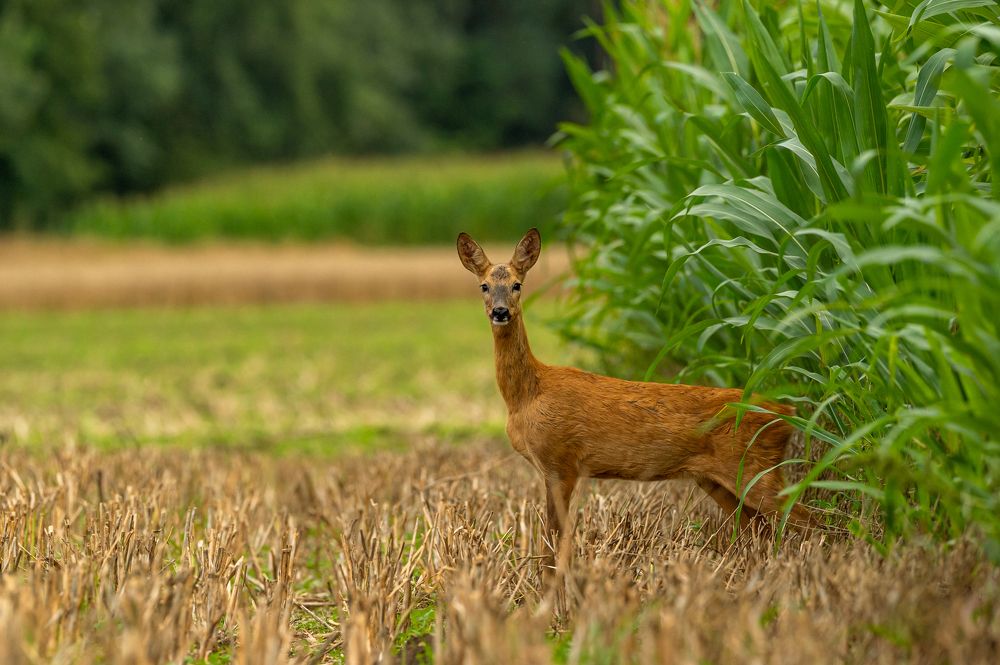 Photograph by Bartek Olszewski