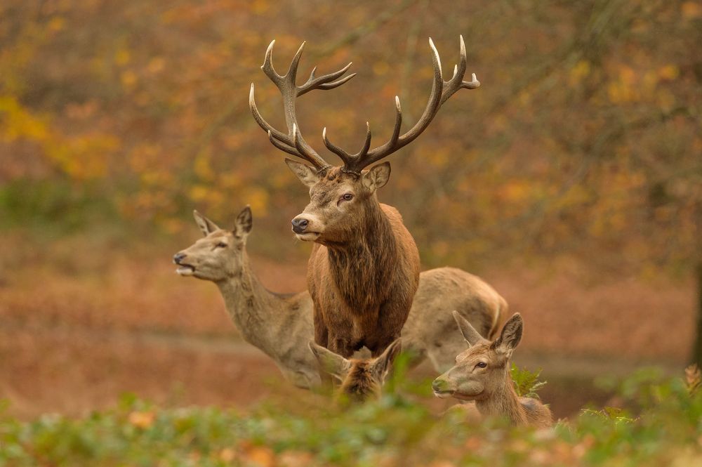 Photograph by Bartek Olszewski