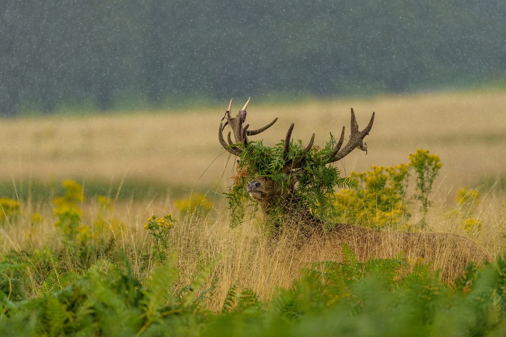 Photograph by Bartek Olszewski