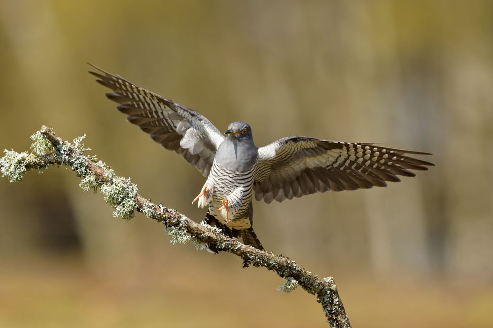 Photograph by Bartek Olszewski