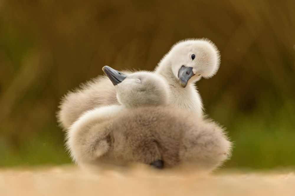 Photograph by Bartek Olszewski