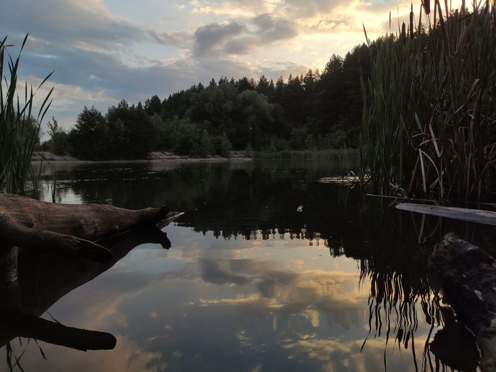 Лесное озеро