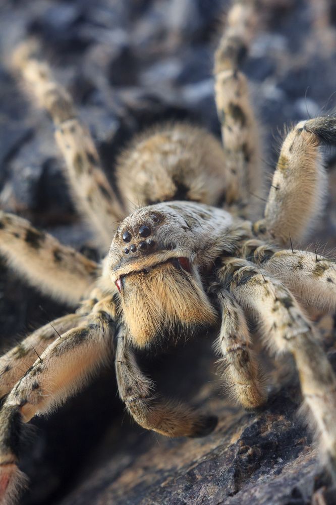 Фотография автора Василий Михайлин