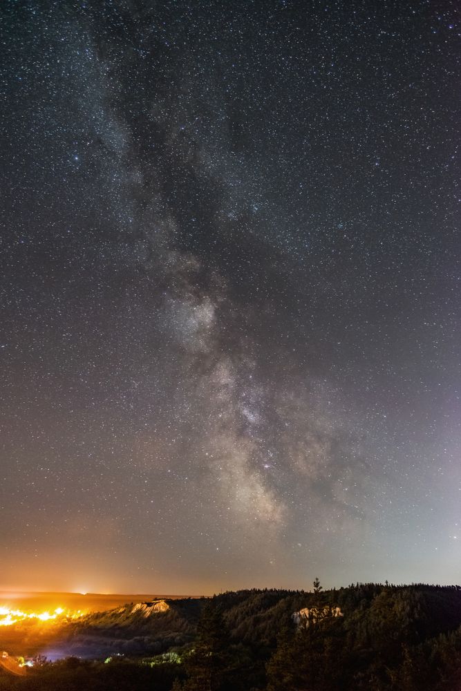 Ночь в лесу.