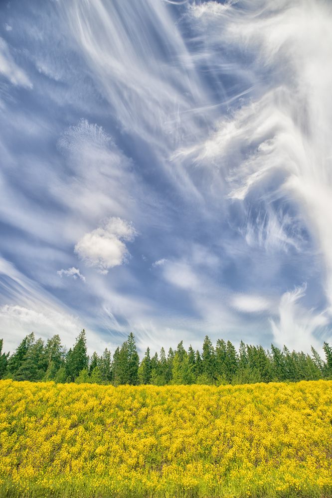 Photograph by Иван