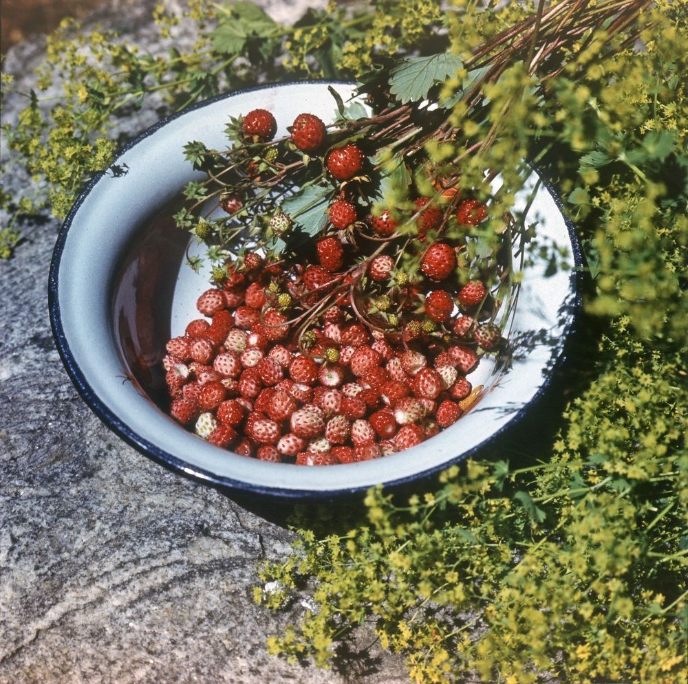 Photograph by Заурбек Шахмурзаев