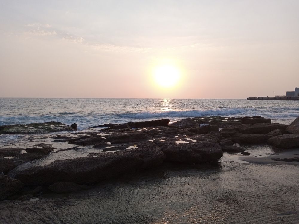 Photograph by Layal Farah