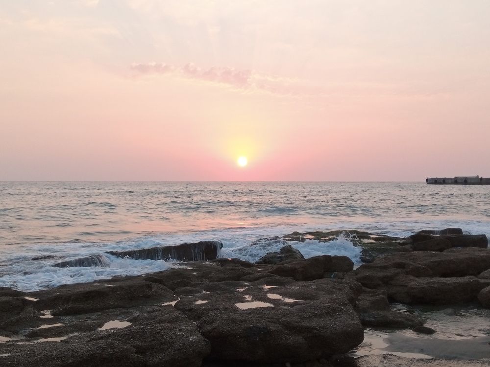 Photograph by Layal Farah