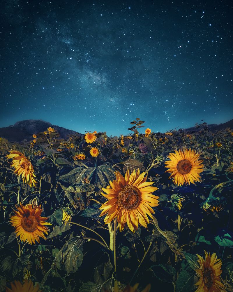 Photograph by iamrawareus