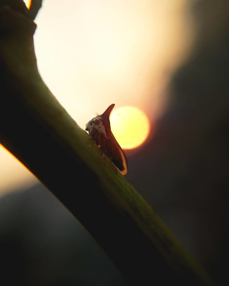 Photograph by Harsh Vankhede