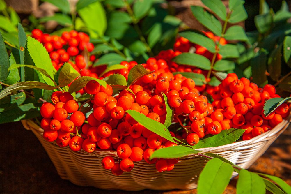 Фотография автора Альбина Кадочникова