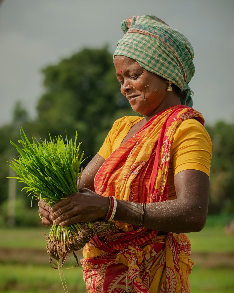 Photograph by Anirban Pan