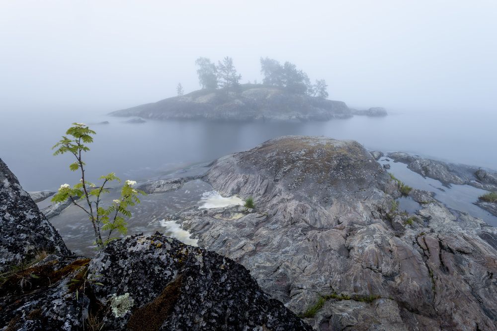 Туманный остров Есусаарет.