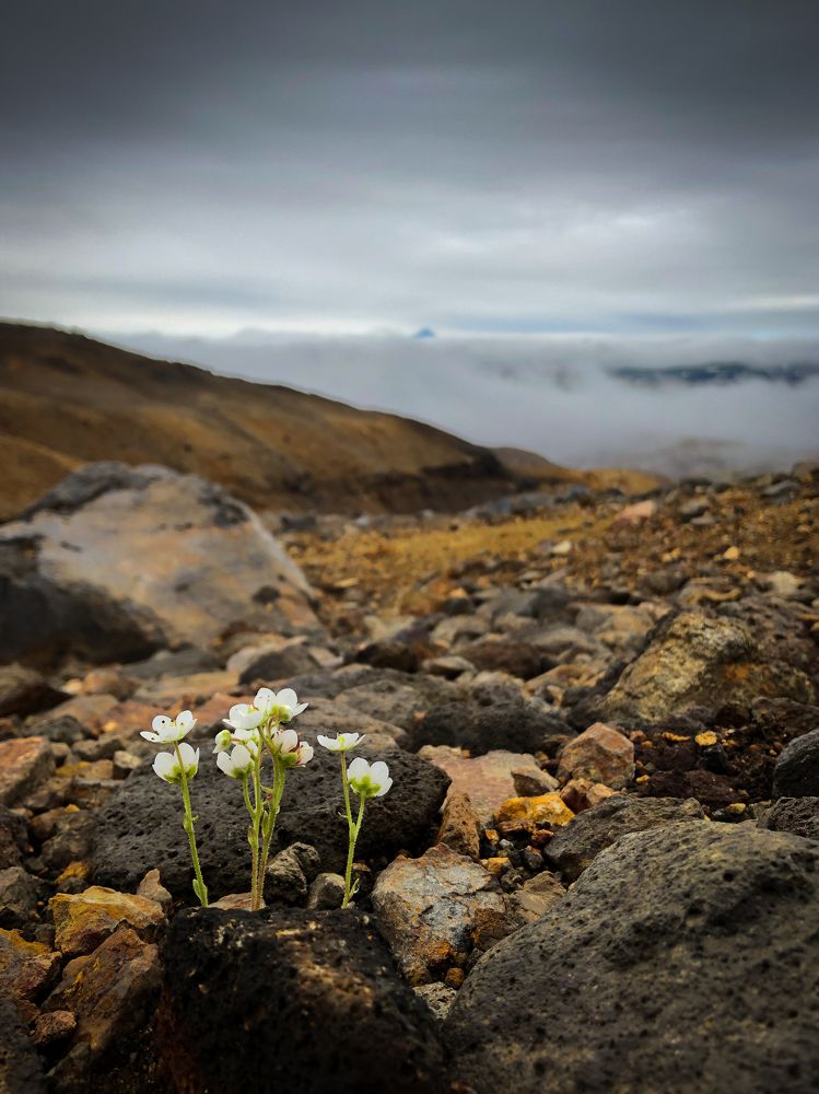 Photograph by Анастасия Бравичева