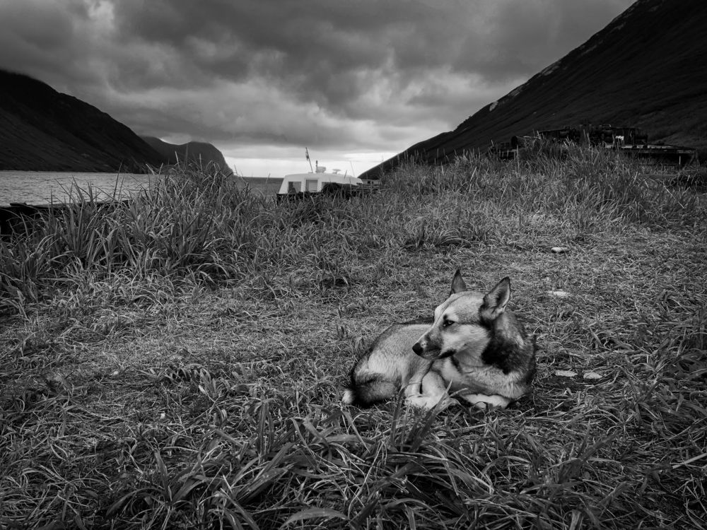 Photograph by Анастасия Бравичева