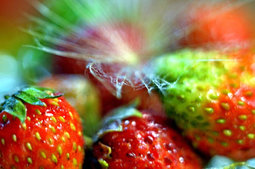 Photograph by Валерий Бурматов