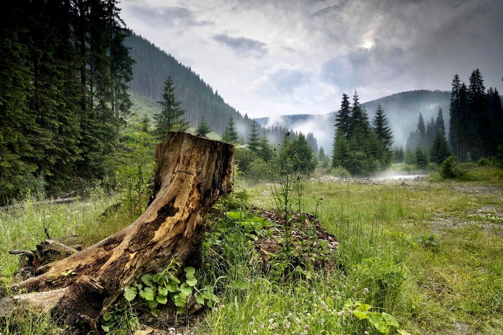 Photograph by Наталья Пирогова