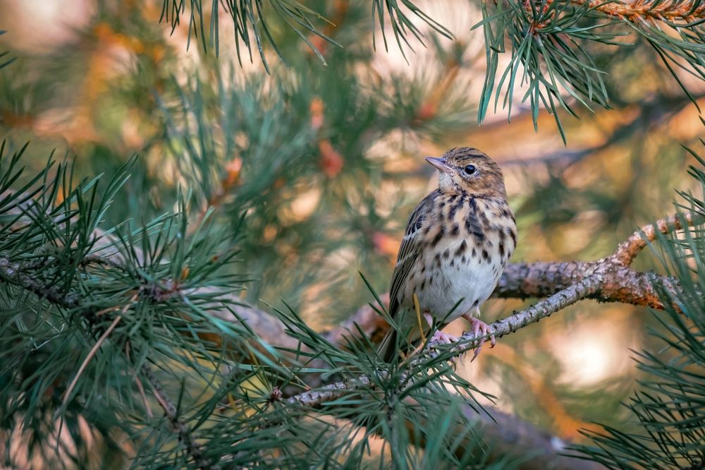 Photograph by Александр Титов