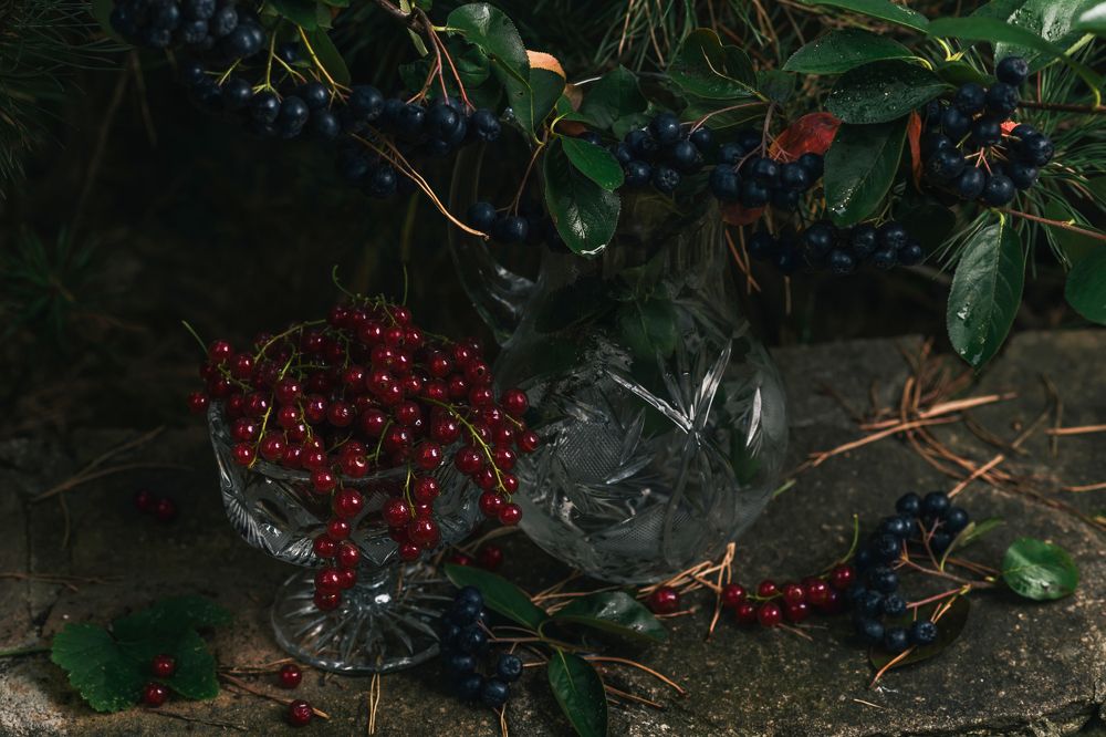 Photograph by Евгений Козлов