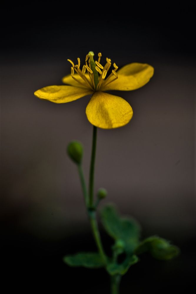 Фотография автора Юрий