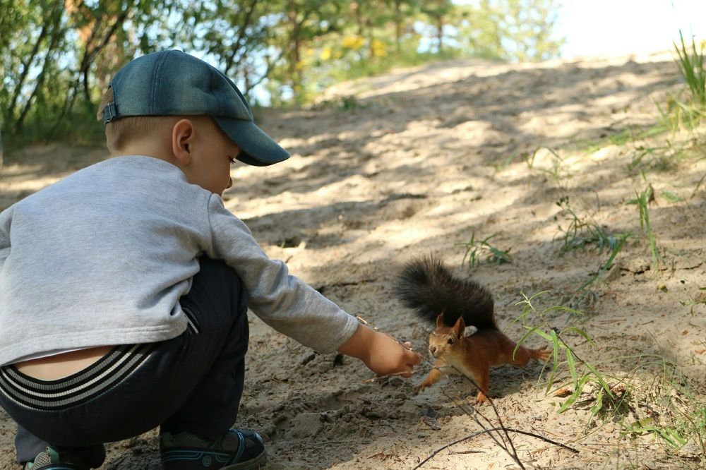 Photograph by Светлана Фокина
