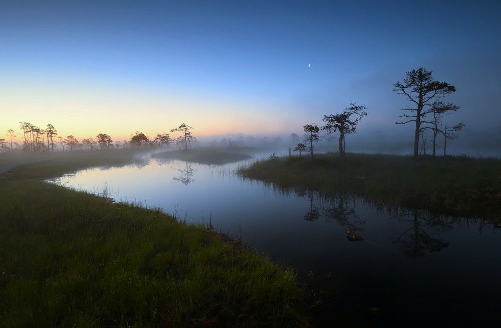 Photograph by Ija Reiman