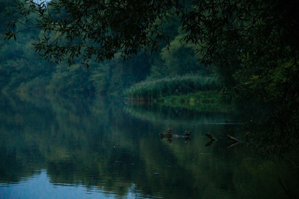 Photograph by Арина Сучкова