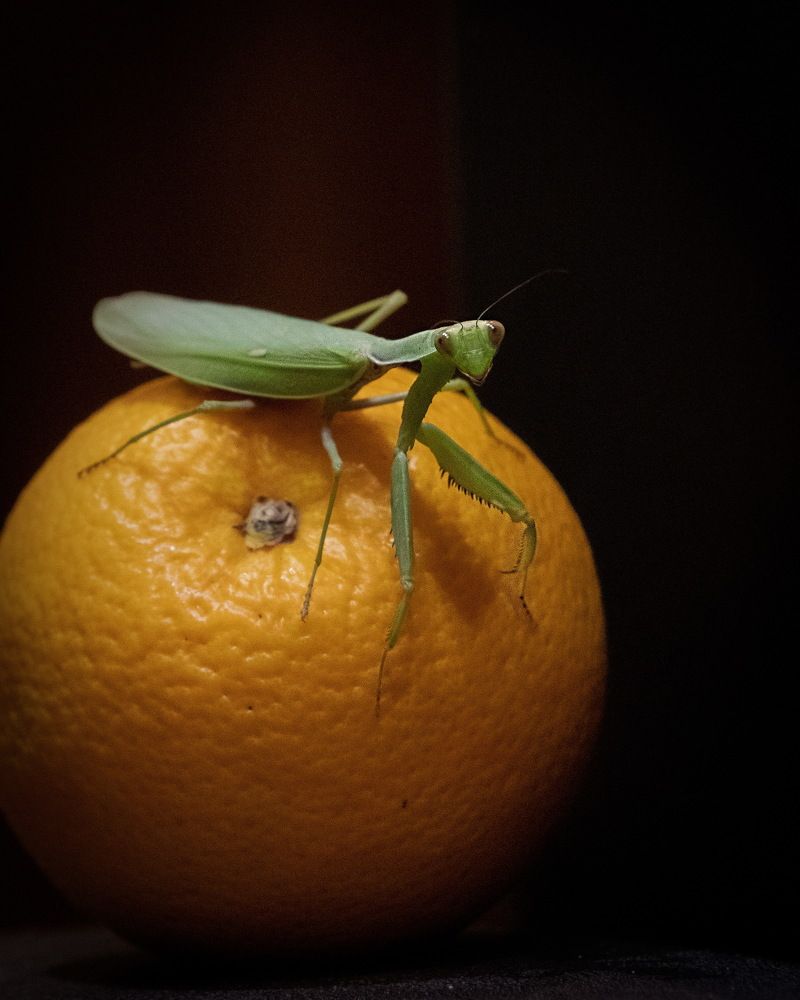 Photograph by Евгений Михеев