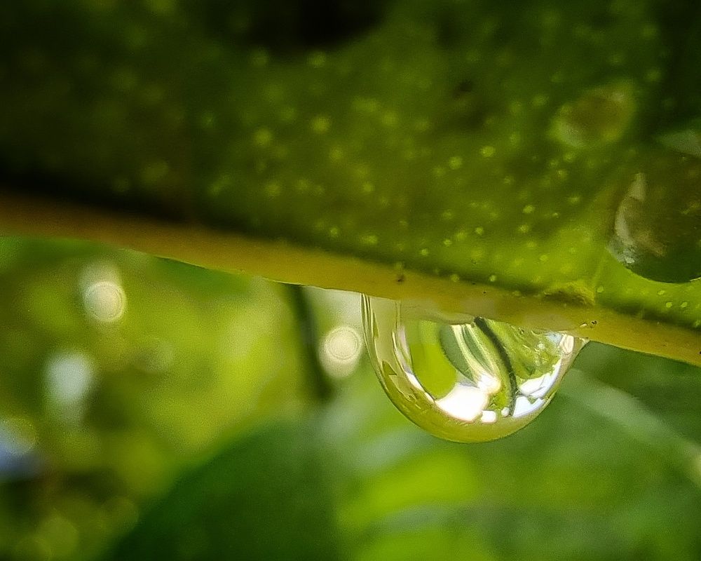 Photograph by Farid Ashtin