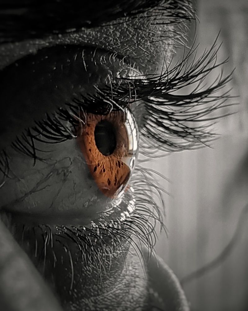 Photograph by Farid Ashtin