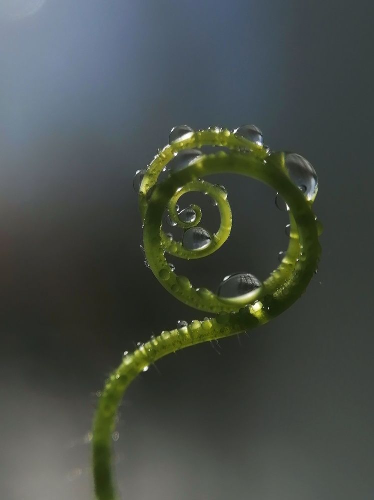 Photograph by Оксана Шевченко