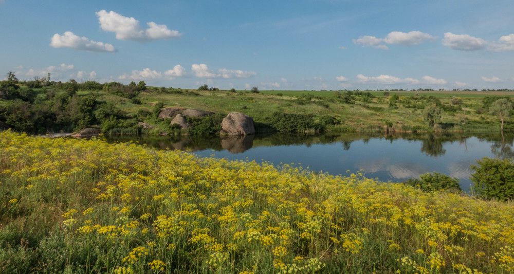 Летние травы