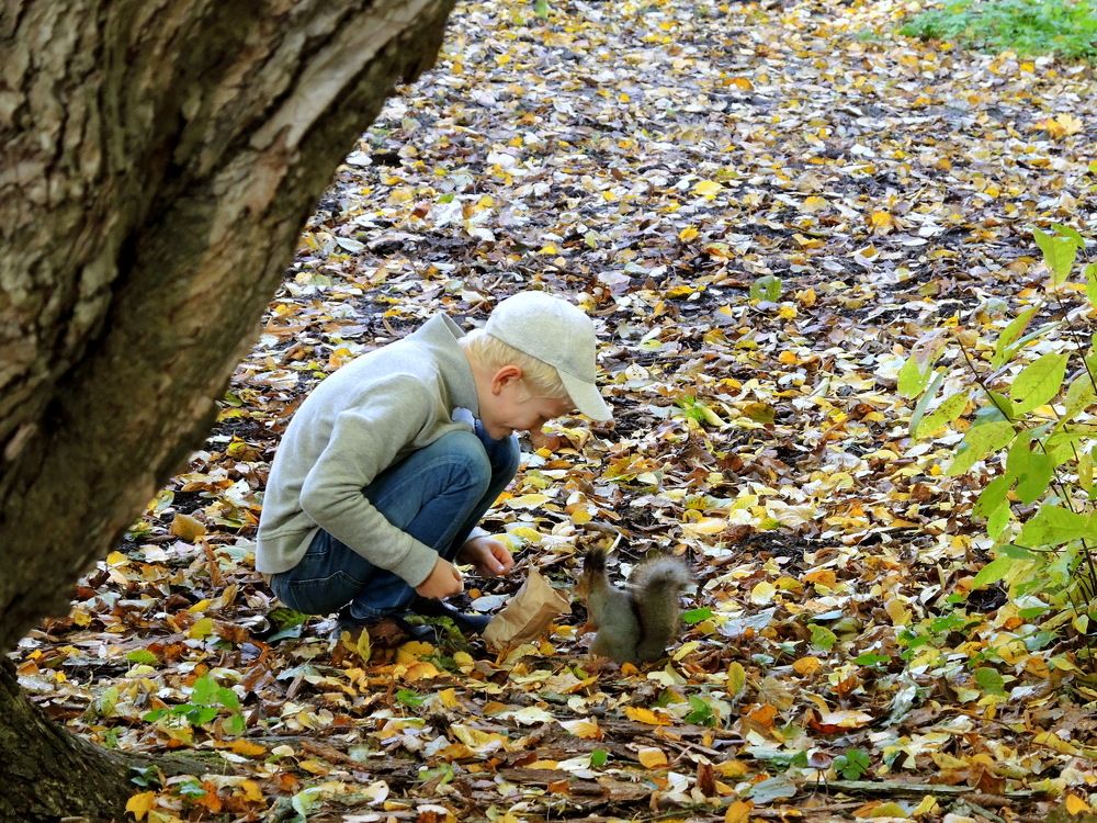 Смотри, что я тебе принёс...