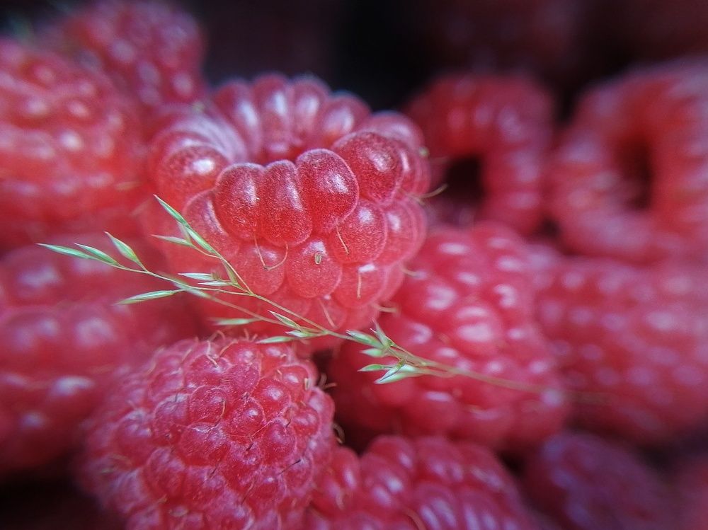 Photograph by Оксана Шевченко