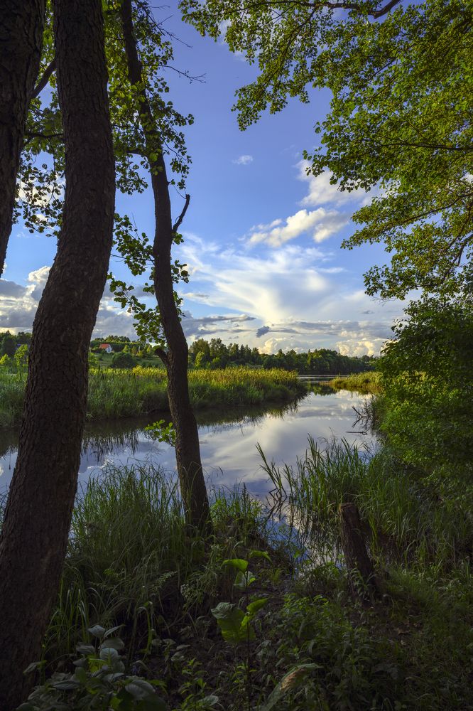 Photograph by Виктор Кирпичников