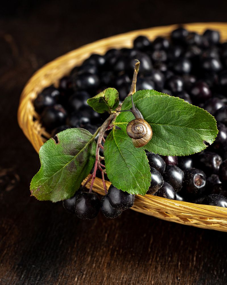 Photograph by Анна Сохрякова