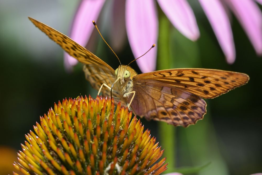 Photograph by Виктор Кирпичников