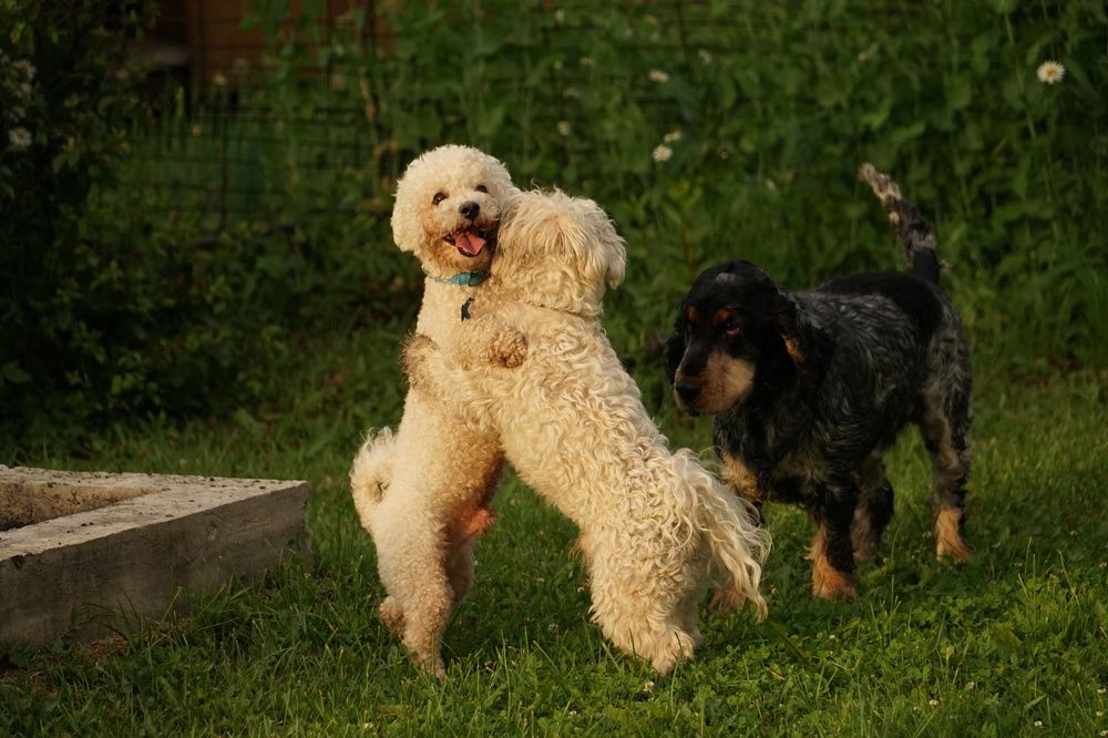 Photograph by Евгения Тупик