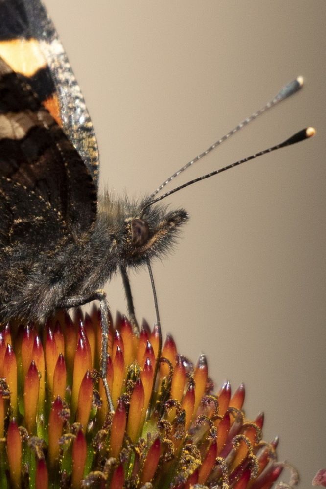 Photograph by Виктор Кирпичников