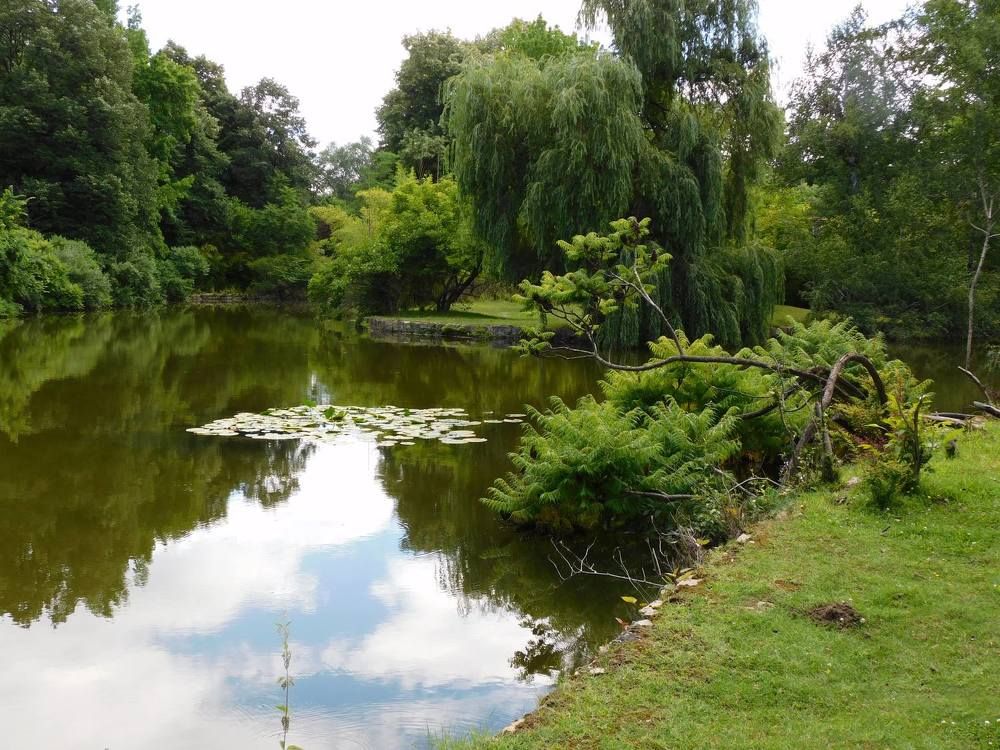 Photograph by Алмерия Монева