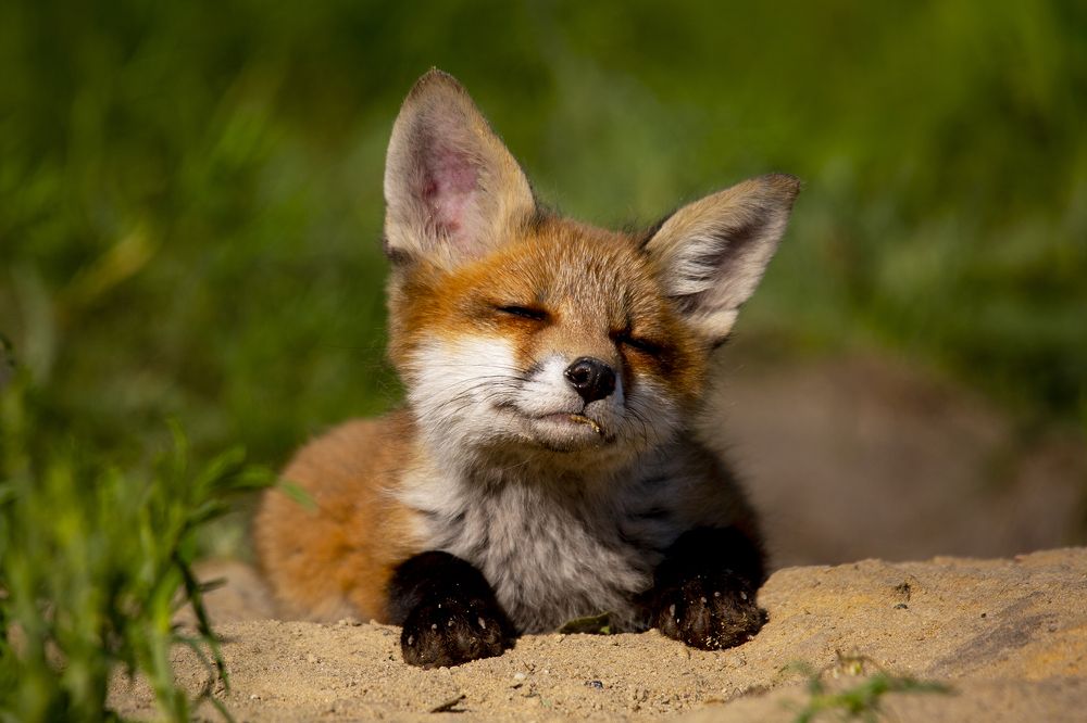 да,брось заливать!