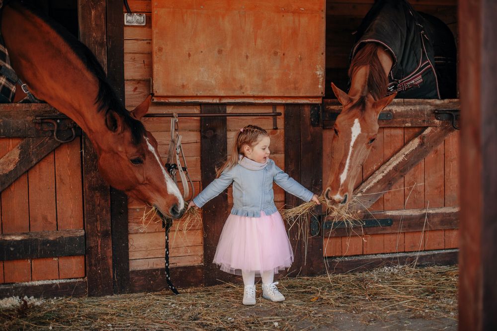 Photograph by Анастасия Родина