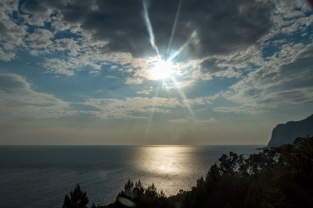 Photograph by Алина Сажнева