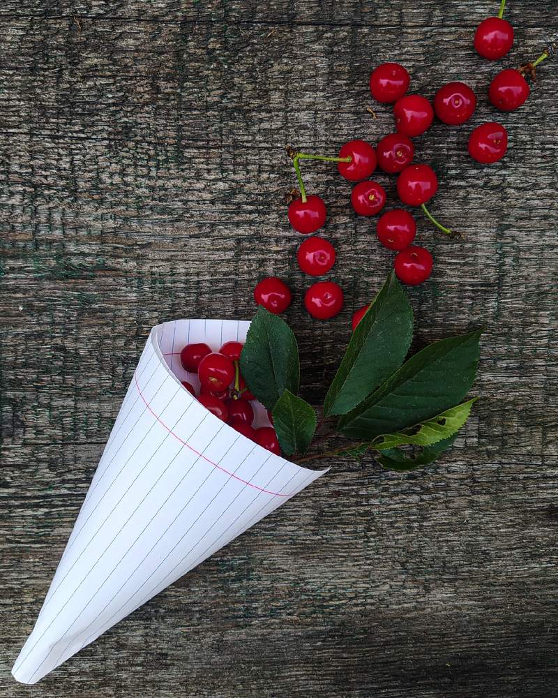 Photograph by Юлия Сусула