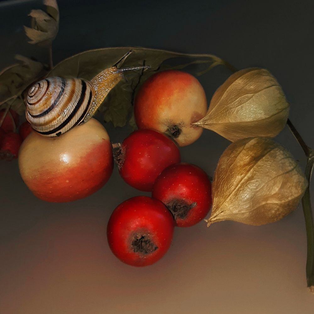 Photograph by Елена Твардовськая