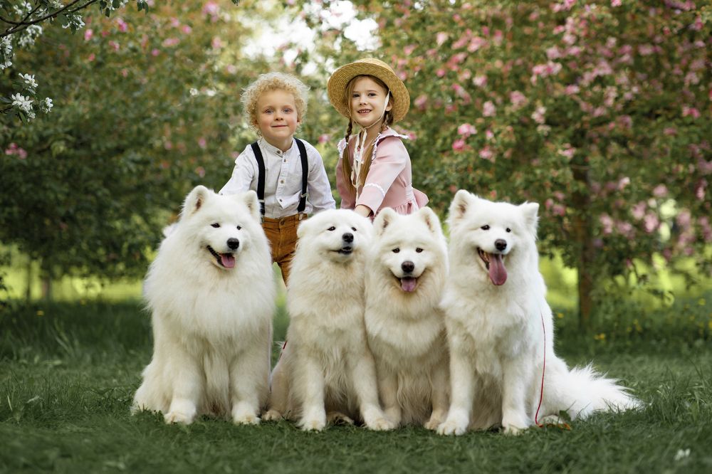 Photograph by Виктория Королева